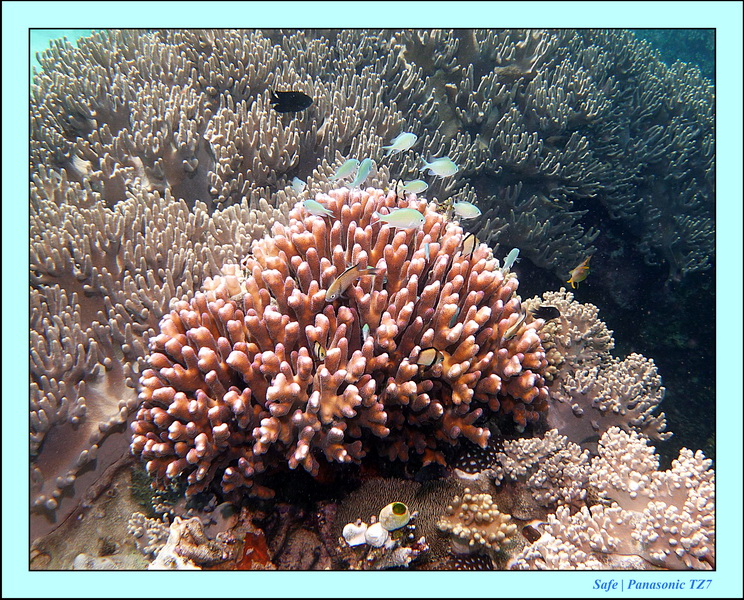 2012 - 07 - Apoh Island 44